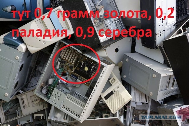 Россиян предупредили о запрете на выброс компьютеров