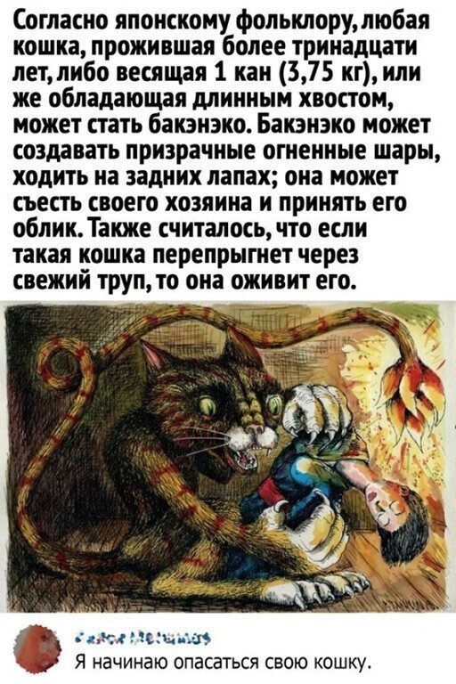 Весёлый полтишок 13.03.22