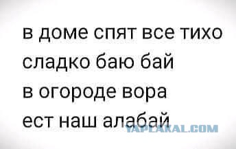 Дачные аферисты!
