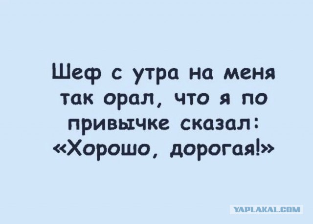 Юмор из Сети 20.06.22