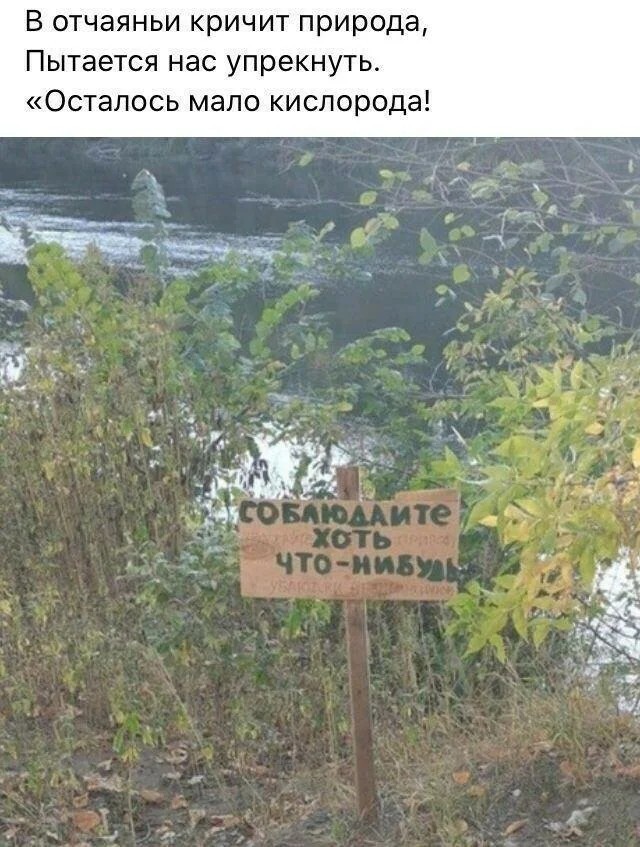 Забавные надписи и объявления из Сети 01.07.22