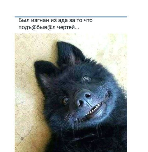 Прикольные и просто красивые картинки 15.07.2022