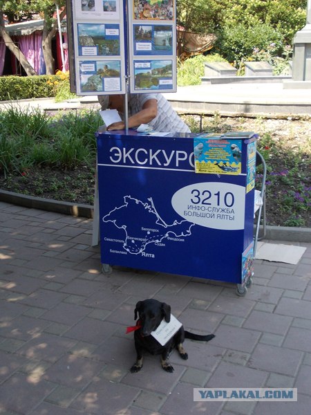 Велопутешествие по Крыму