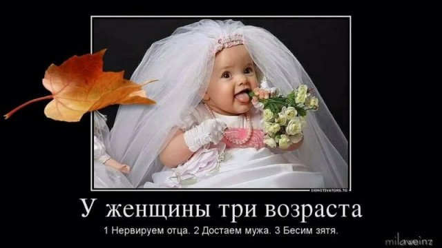 Картинки и мемы, выходные продолжаются