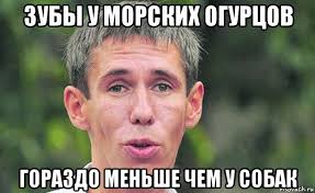 Преступнику, который вступил в интимную связь с лошадью, запретили приближаться к любому животному с копытами