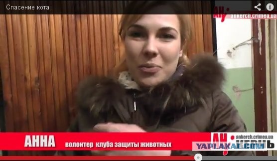 В Крыму ради котенка сломали стену в доме