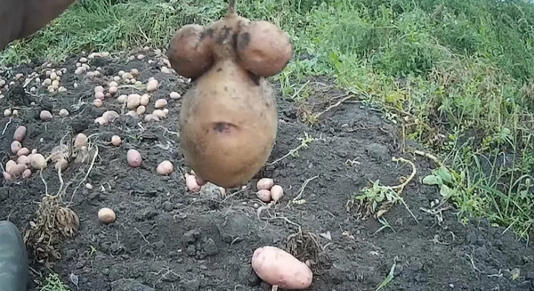 Пост возмущения!
