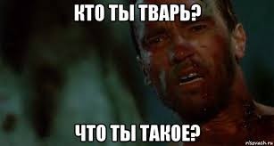 А вы бы рискнули с ним/ней полететь?