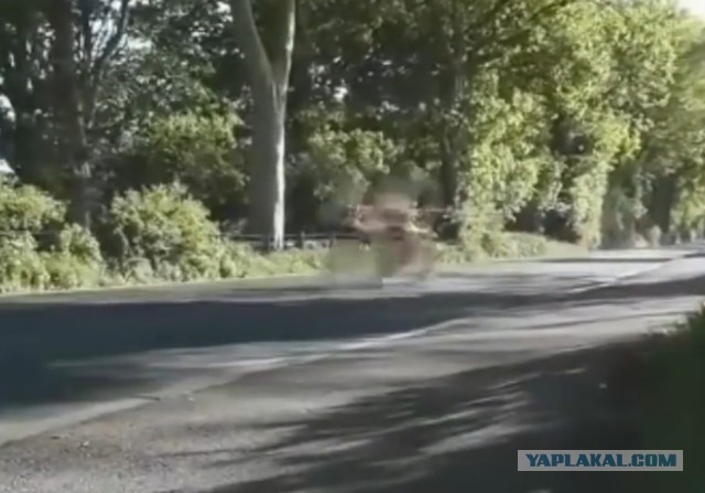 Прокуратура Московской области предоставила видео вчерашней кошмарной аварии в Воскресенске