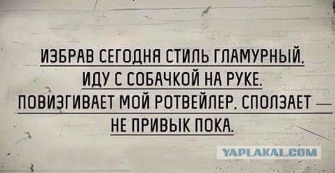 Дохлый женский аргумент: они свято верят, что они нужны мужчинам ради уюта