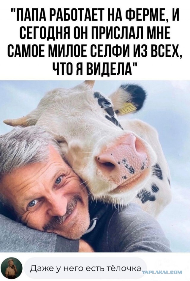 Скриншоты и комментарии из социальных сетей 29.09.23