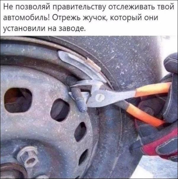 Исче бояны ЯПископаемые