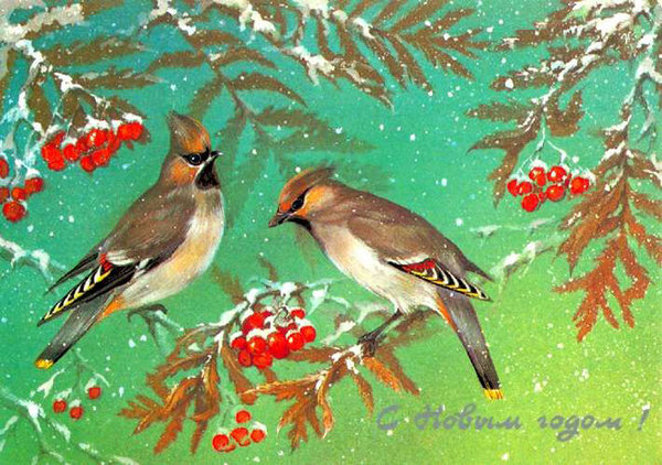 Картины, просто похвалиться