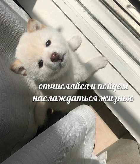 Всего понемногу. От 21.03.24