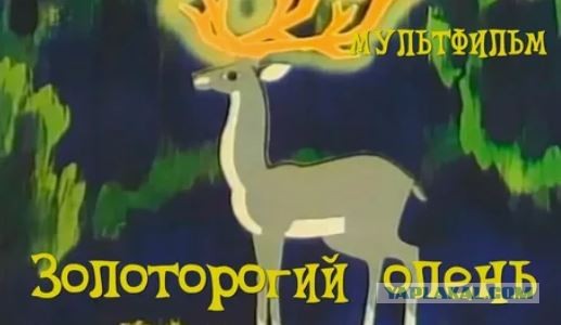 В сети набирает популярность видео, где парень попросил разделить счет на свидании с девушкой