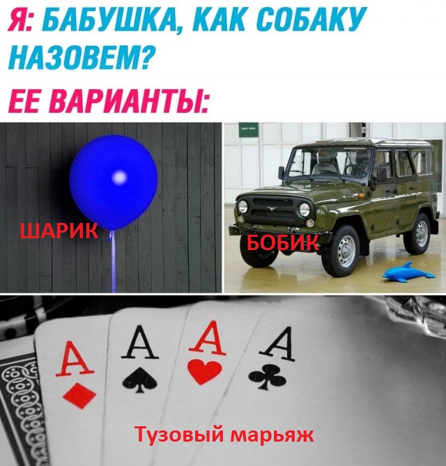 Весёлый полтишок 06.03.2025