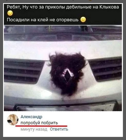 В Госдуме потребовали приравнять логотип Renault к фашистской символике