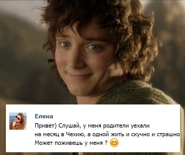 Так себе картинки 28.07.25