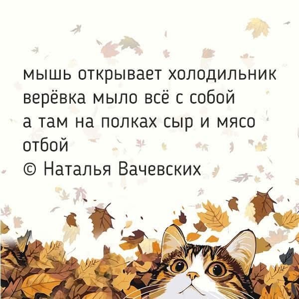 Маленькая пятница 11.11