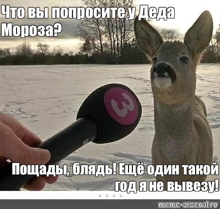Что хорошего произошло в жизни ЯПовчан в 2025 году?