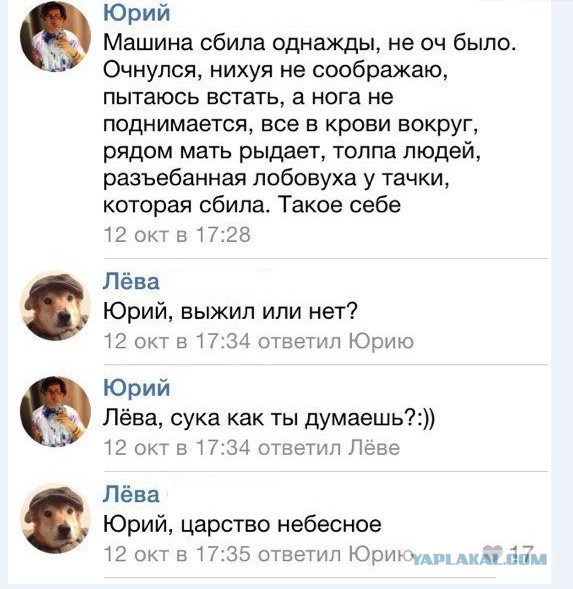 Веселые картинки в понедельник (22.12)