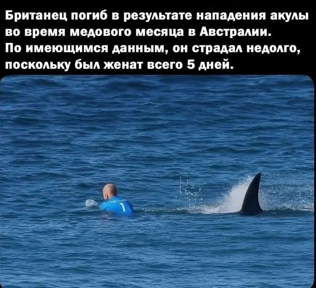Чёрно-пошлая деградация