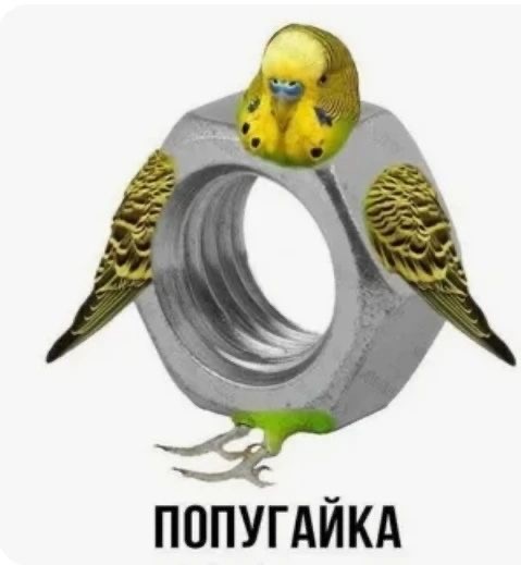 Прикольные и просто красивые картинки 06.02.2026