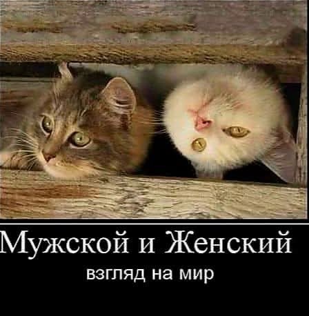 Маленькая пятница 11.03