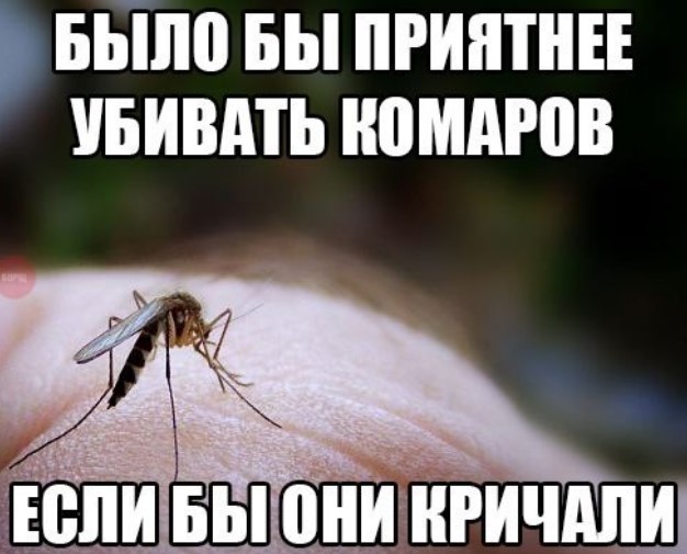 Комариный апокалипсис добрался до Алтайского края