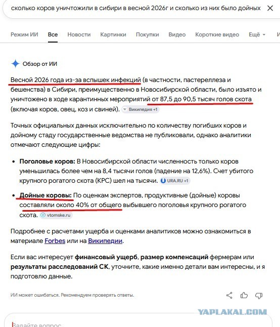 В России резко сократилось поголовье коров.