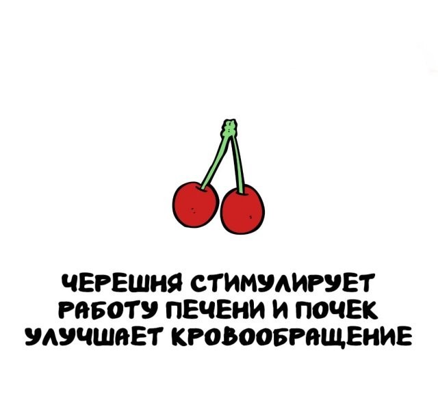 Интересные и короткие факты, на все случаи жизни