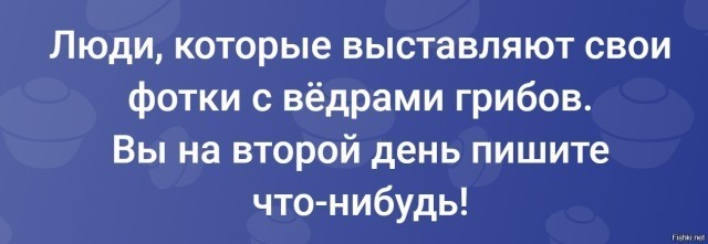 Прошу подсказки по грибам