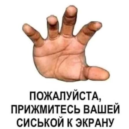 Первый раз решил засолить грибы.