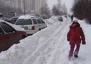 Батальоны просят лопат