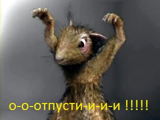 В гараже поймал....