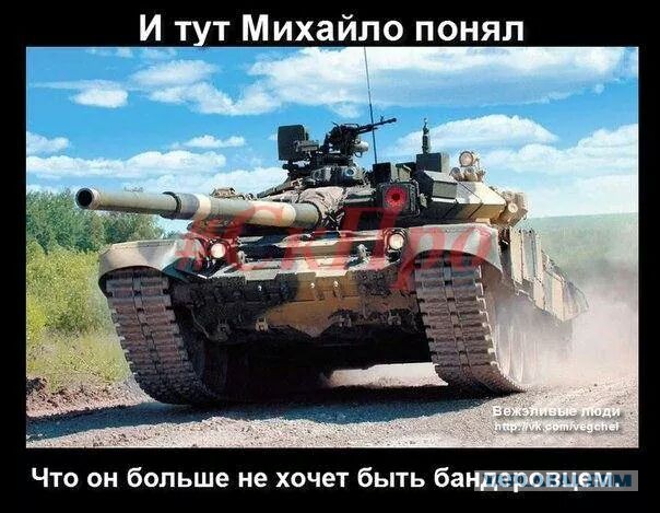 Т-шные мордочки