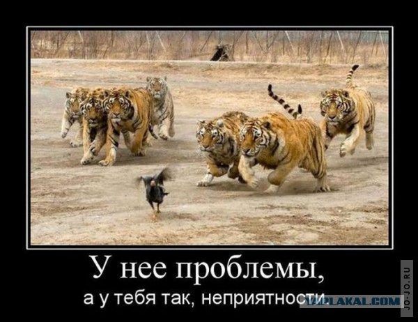 Небольшая подборка фото