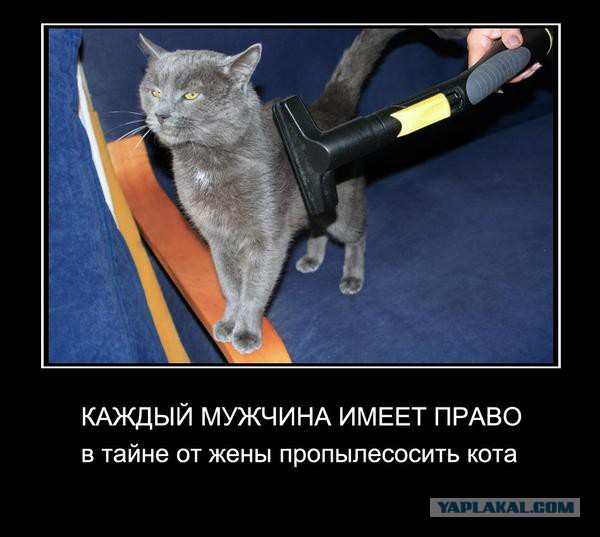 Демотиваторов пост, добавляйте свои
