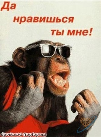 Принцип работы кнопки 911