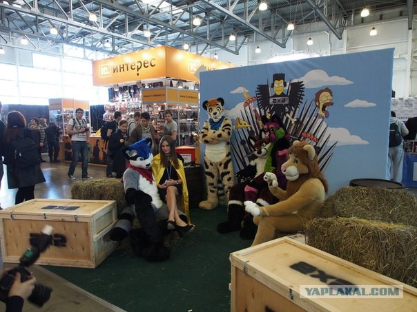 Comic Con 2014