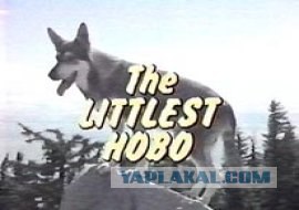 Дикий Ангел и другие сериалы молодости 90-х