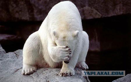 Изменил любимый любовник