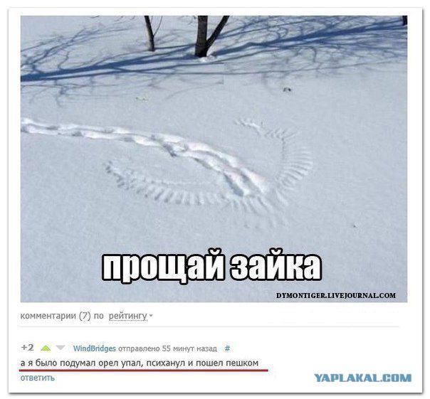 Всякое разное из соцсетей