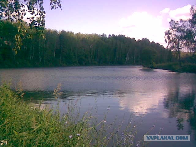 Мальдивы. Обратная сторона.