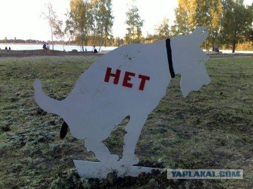Весёлости