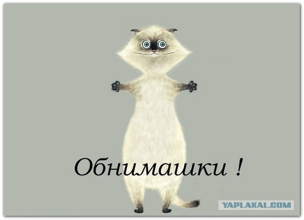 Новый мойщик аквариума?