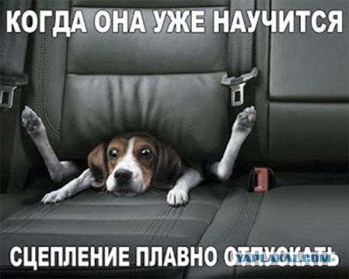 Подборка картинок