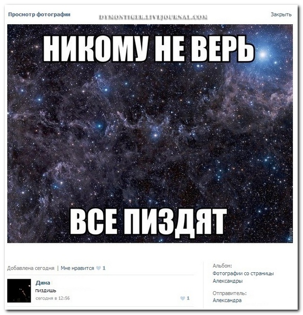 Смешные комментарии из социальных сетей