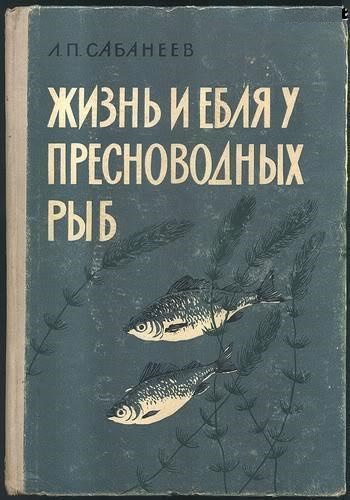 Гендерные заботы