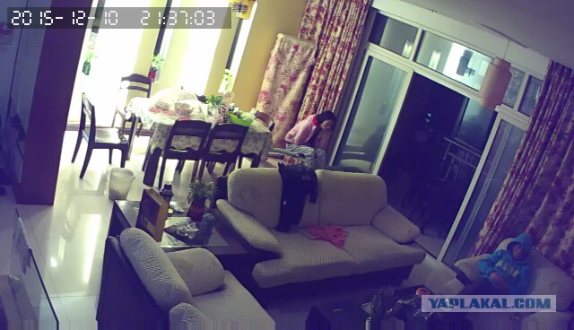 За что я люблю китайцев